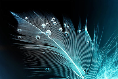 Blue feather droplets