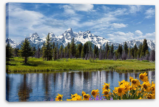 Grand Teton wilderness