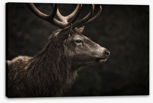 Stag night
