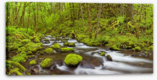 Rivers