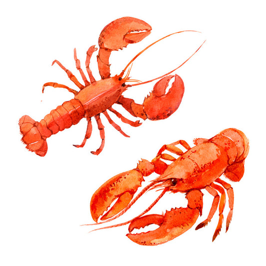 Pink lobsters