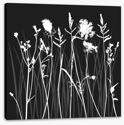 Moonlight silhouettes