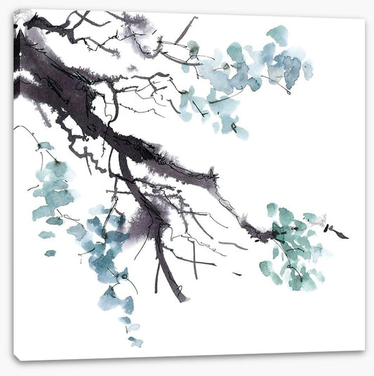 Branch in bloom