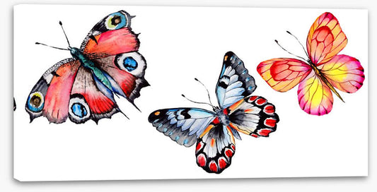 Butterfly trio I
