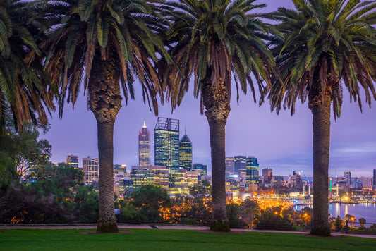 Perth through the palms