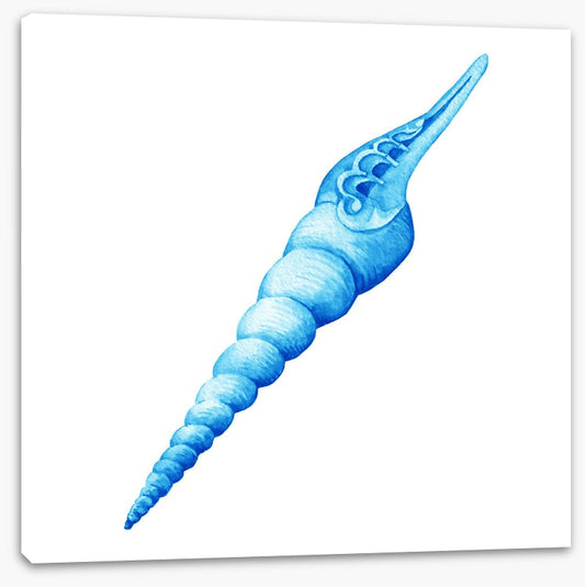 Blue spiral shell