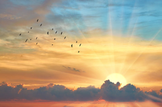 Through the sunbeams