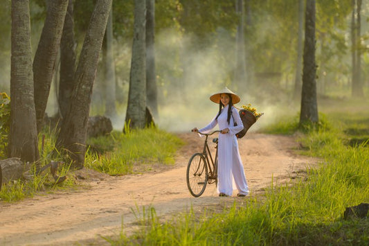 Ao dai beauty