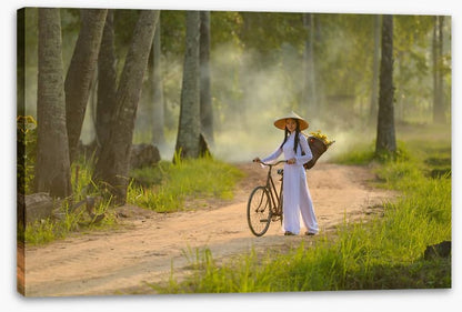 Ao dai beauty