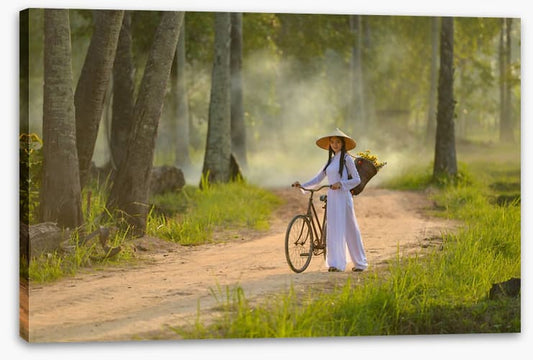 Ao dai beauty