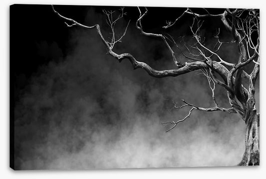 Reaching through time