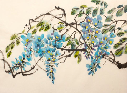 Blue wisteria