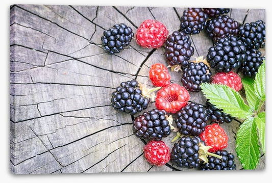 Berries laid bare