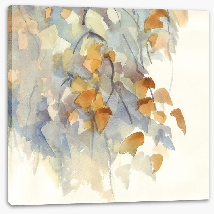 Shadows in the birch