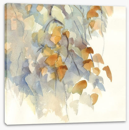 Shadows in the birch