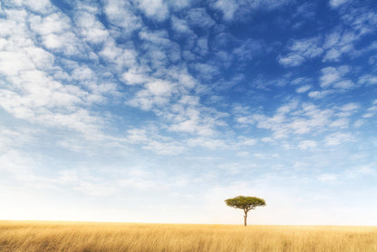 Africa