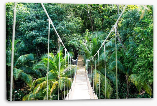Into the jungle