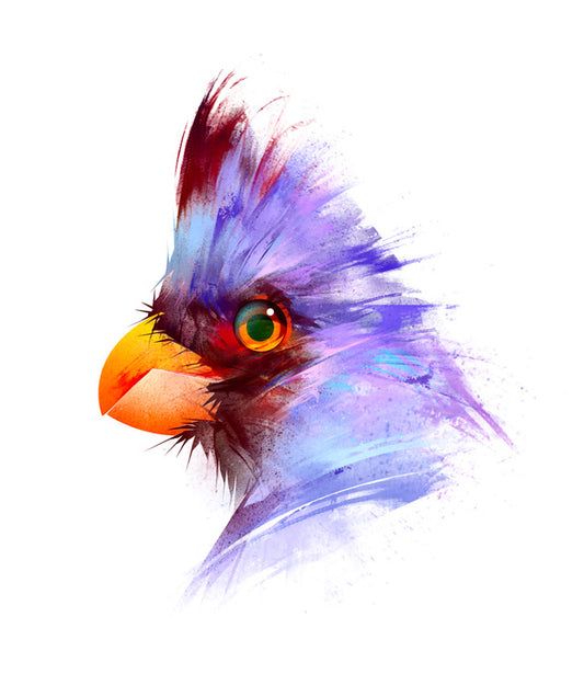 Birds