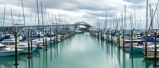 Auckland marina masts
