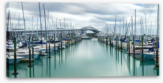 Auckland marina masts