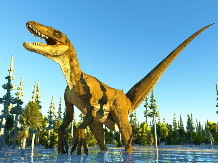 Raptor roar