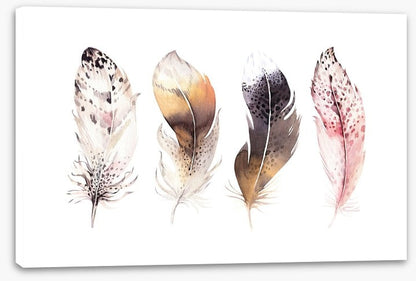 Feather me softly