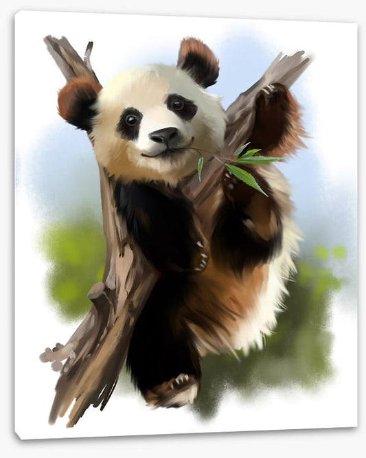 Little giant panda
