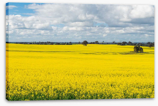 Agriculture