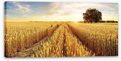 Agriculture