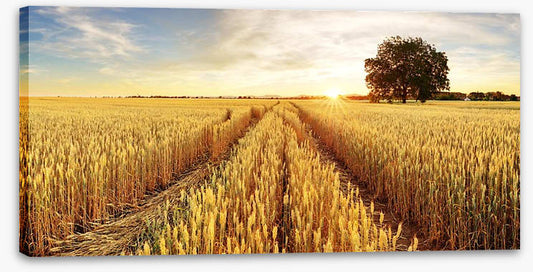 Agriculture
