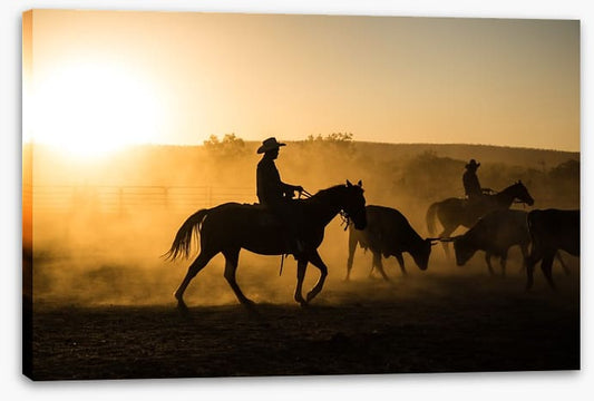 Mustering in the Kimberley