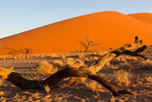 Desert