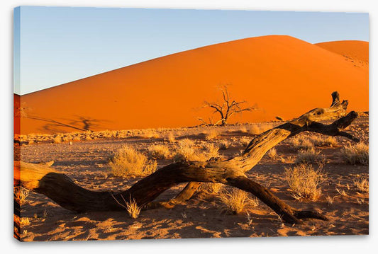 Desert