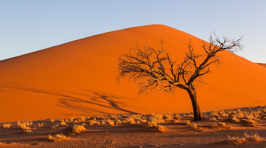Desert