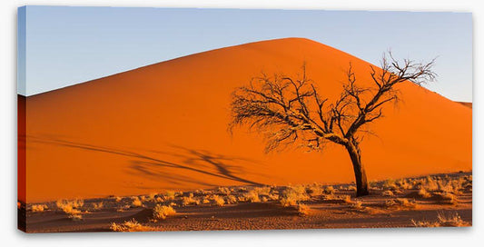 Desert