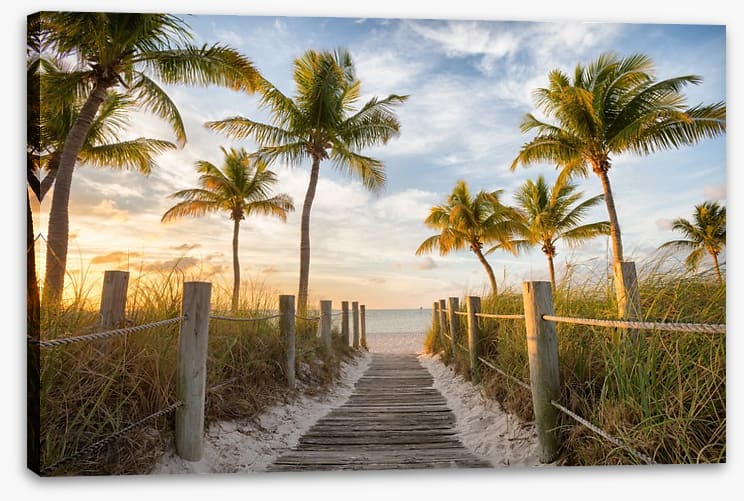 Palms to the beach