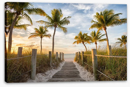 Palms to the beach