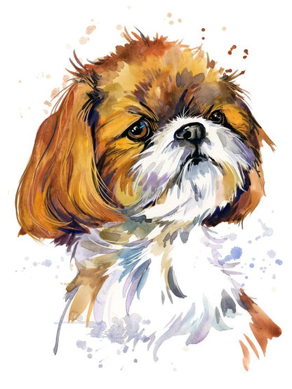 Shih tzu pup