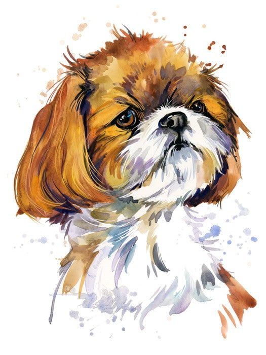 Shih tzu pup