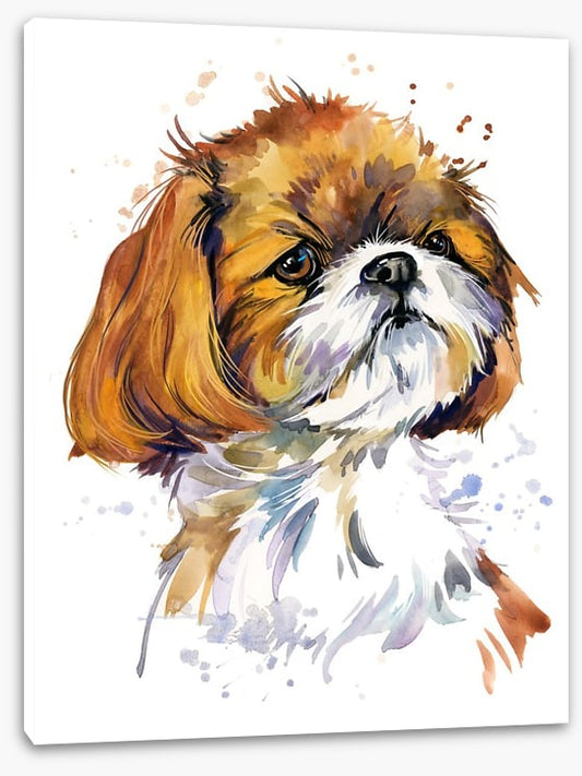 Shih tzu pup