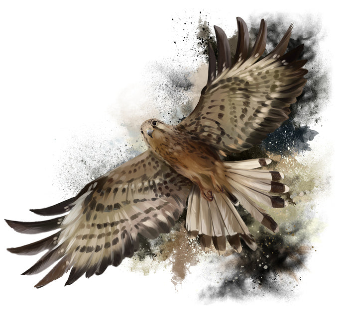 Flight of the falcon