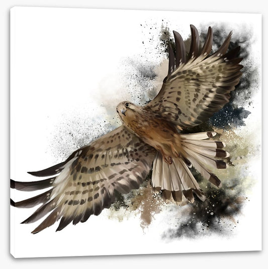 Flight of the falcon