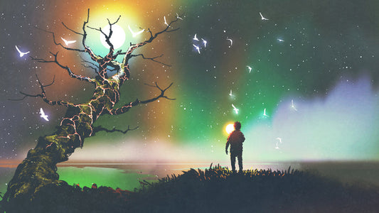 Aurora light flight