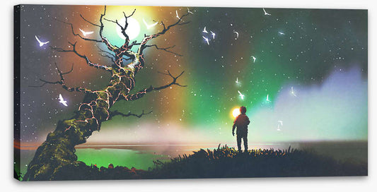 Aurora light flight