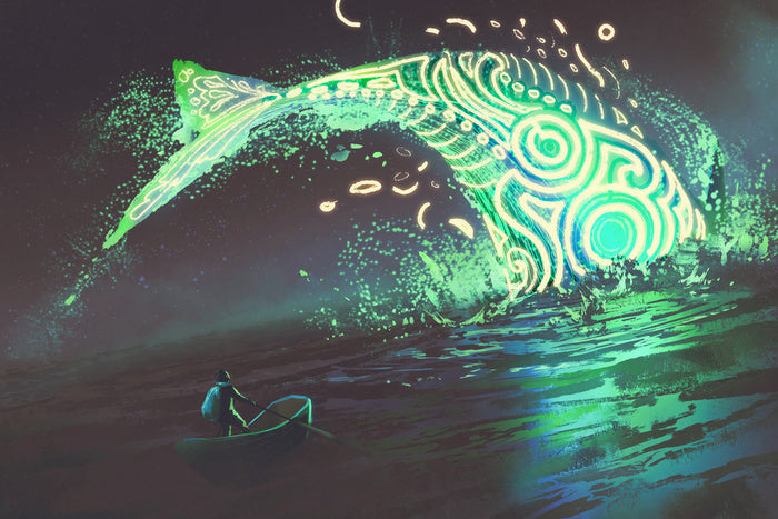 Jonah meets the whale