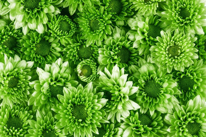 Leafy abundance