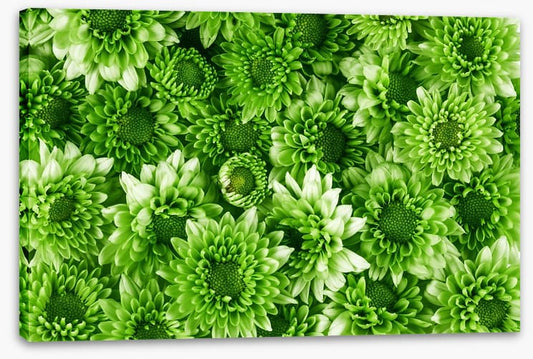 Leafy abundance