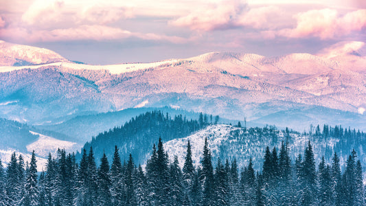 Alpine beauty