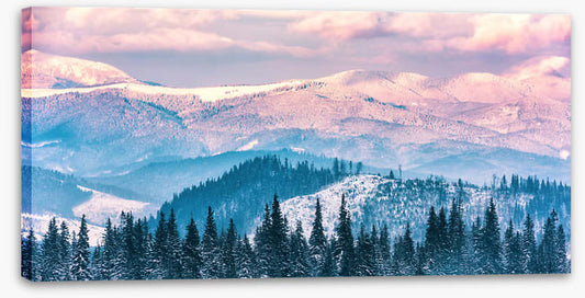Alpine beauty
