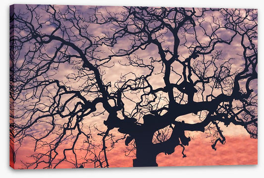 Trees